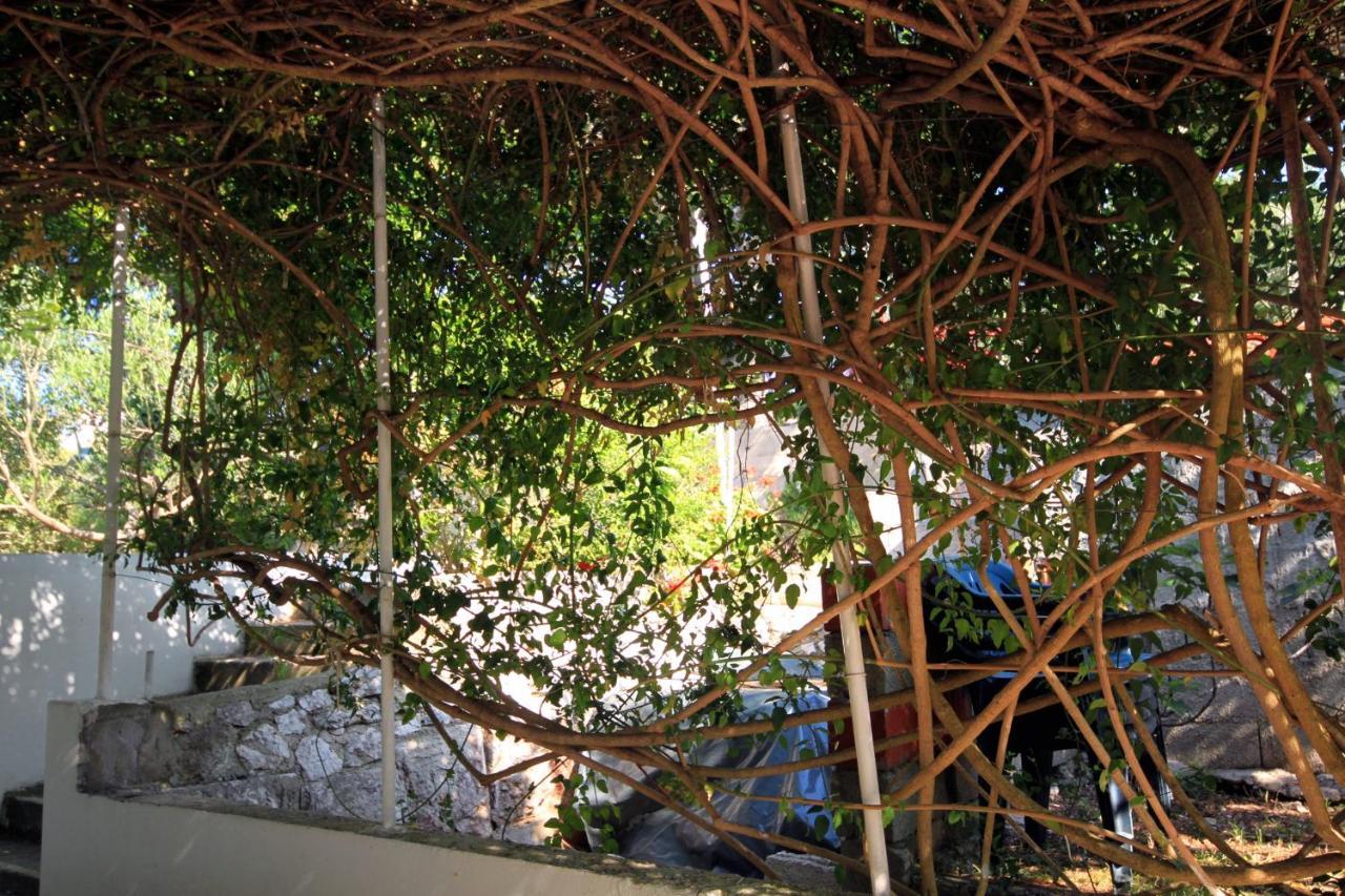 By The Sea Hvar - 591 Apartment